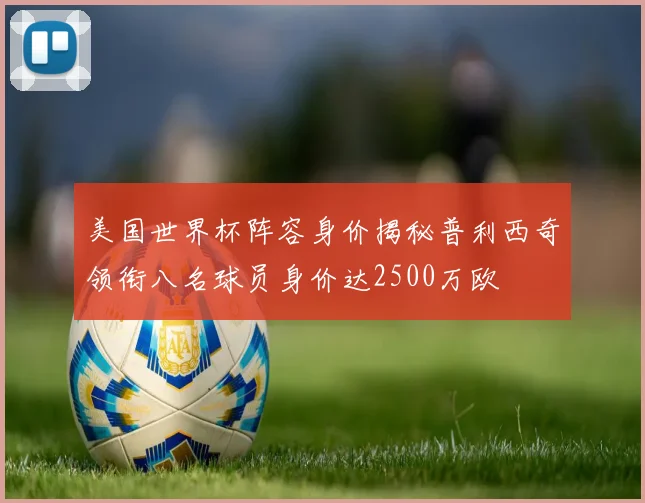 美国世界杯阵容身价揭秘普利西奇领衔八名球员身价达2500万欧
