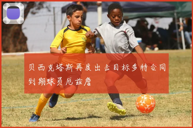 贝西克塔斯再度出击目标多特合同到期球员厄兹詹