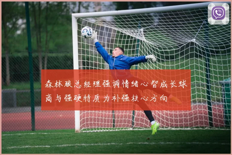 森林狼总经理强调情绪心智成长球商与强硬特质为补强核心方向
